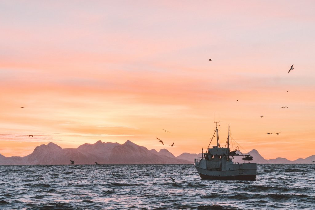 fishing on a boat in the Cornwall coast